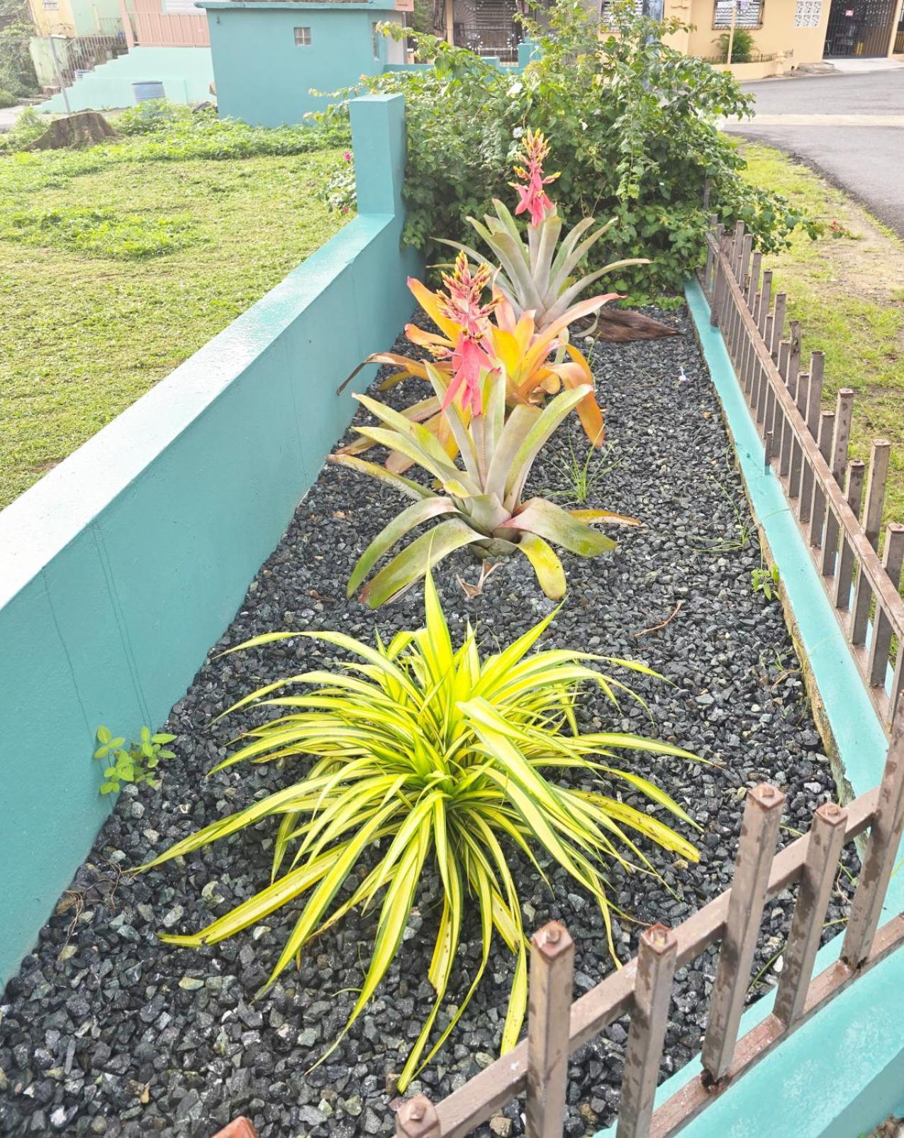 Casa Palmera Vega Baja Exterior photo